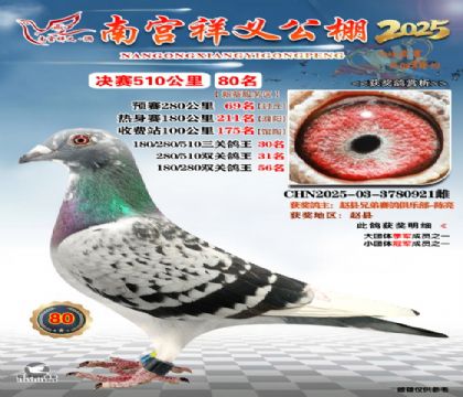 祥义公棚决赛80名