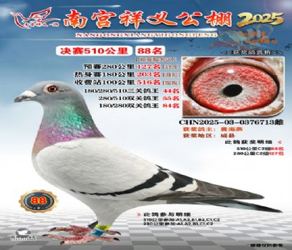 祥义公棚决赛88名