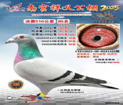 祥义公棚决赛85名