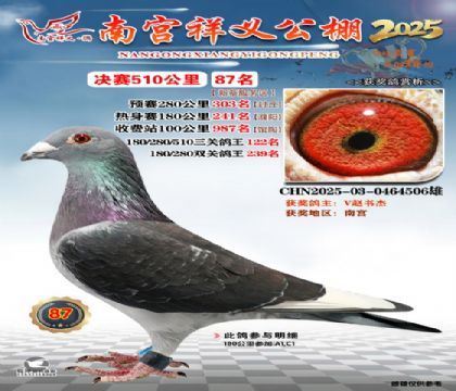 祥义公棚决赛87名