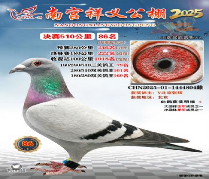 祥义公棚决赛86名