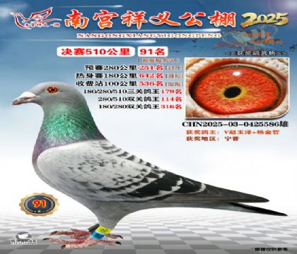 祥义公棚决赛91名