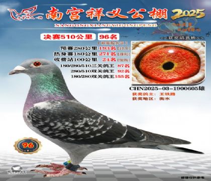 祥义公棚决赛96名