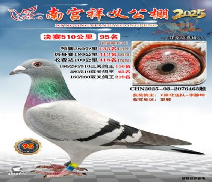 祥义公棚决赛95名