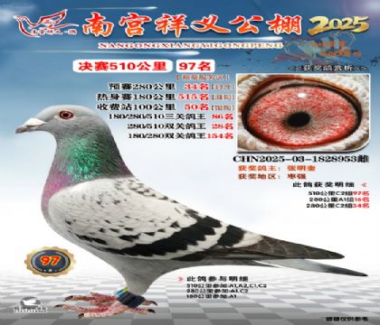 祥义公棚决赛97名