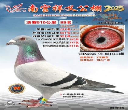 祥义公棚决赛99名