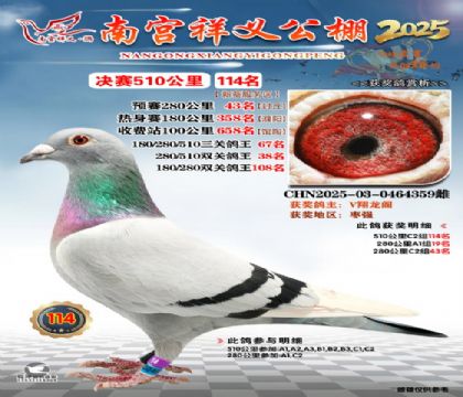 祥义公棚决赛114名