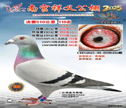 祥义公棚决赛110名