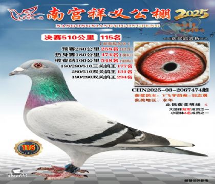 祥义公棚决赛115名