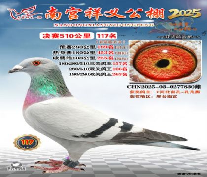 祥义公棚决赛117名