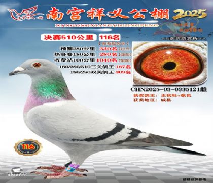 祥义公棚决赛116名