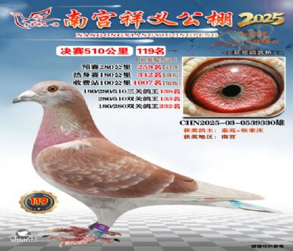 祥义公棚决赛119名