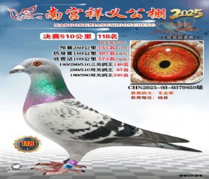 祥义公棚决赛118名