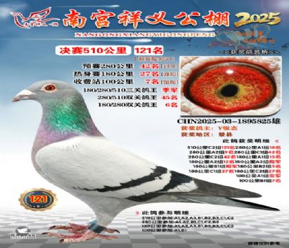 祥义公棚决赛121名