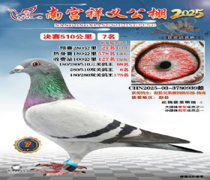 祥义公棚决赛7名