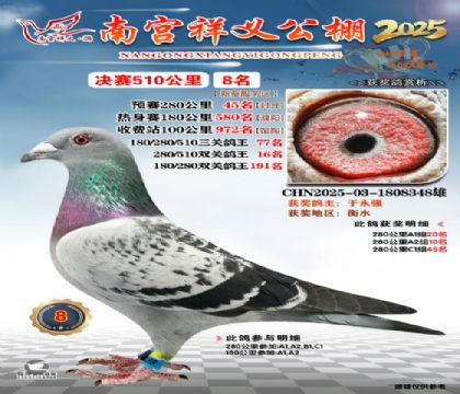 祥义公棚决赛8名