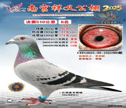 祥义公棚决赛6名