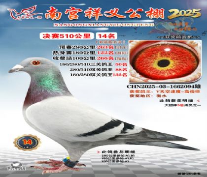 祥义公棚决赛14名