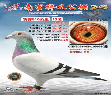 祥义公棚决赛12名