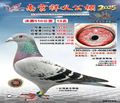 祥义公棚决赛13名