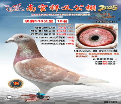 祥义公棚决赛10名