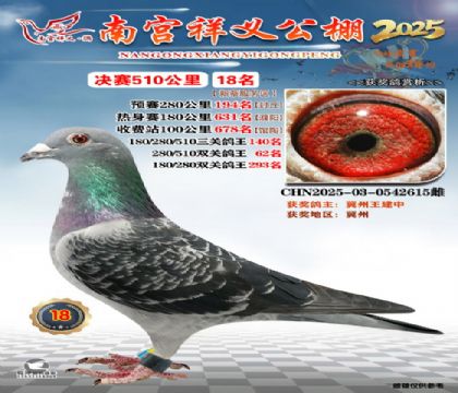 祥义公棚决赛18名