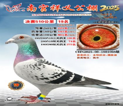 祥义公棚决赛19名