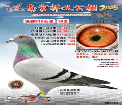 祥义公棚决赛16名