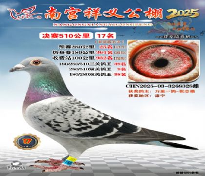 祥义公棚决赛17名