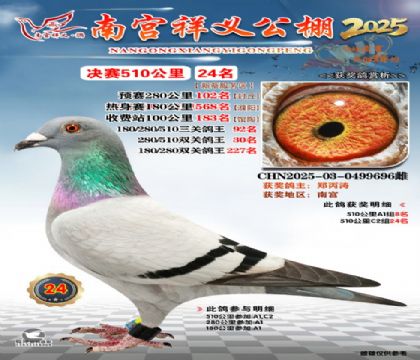 祥义公棚决赛24名