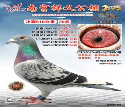 祥义公棚决赛20名