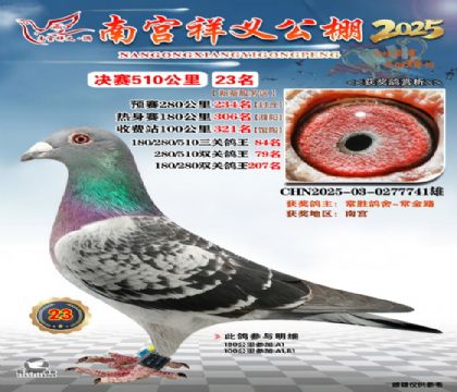 祥义公棚决赛23名