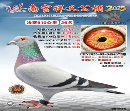 祥义公棚决赛26名