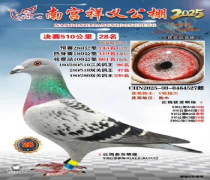 祥义公棚决赛28名