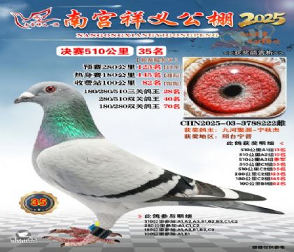 祥义公棚决赛35名