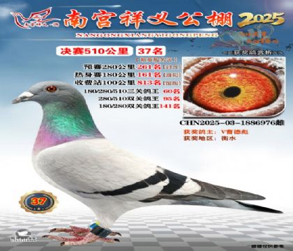 祥义公棚决赛37名