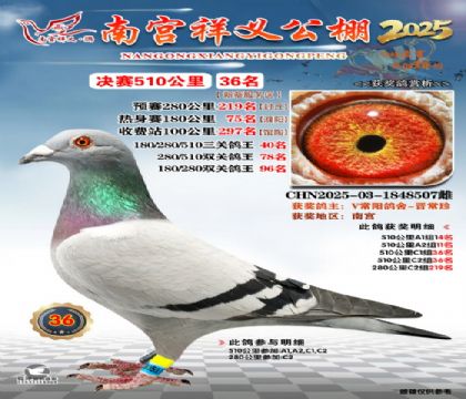 祥义公棚决赛36名