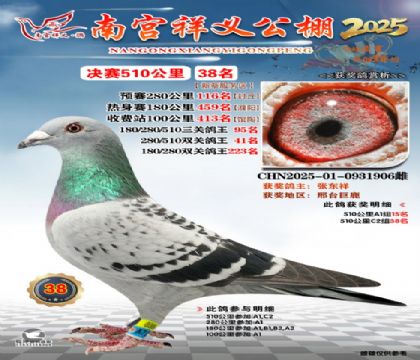 祥义公棚决赛38名