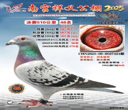 祥义公棚决赛46名