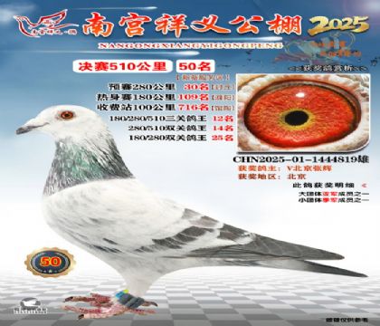 祥义公棚决赛50名