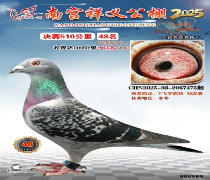 祥义公棚决赛48名