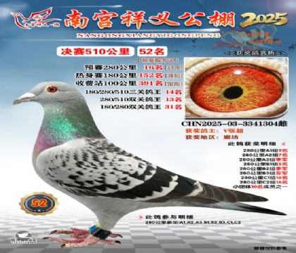 祥义公棚决赛52名