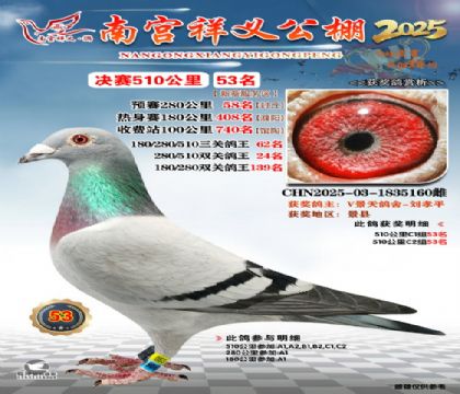 祥义公棚决赛53名