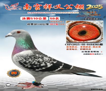 祥义公棚决赛59名