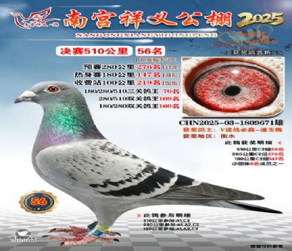 祥义公棚决赛56名