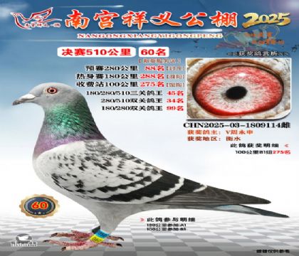 祥义公棚决赛60名