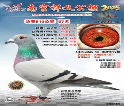 祥义公棚决赛57名