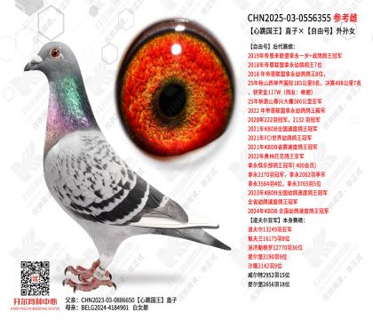 ��������ֱ�ӡ����ɺ�����Ů