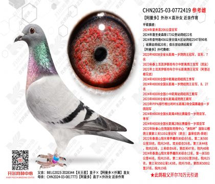 �����������ֱ��Ů ��������