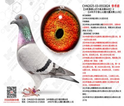 24����ɽ���ɭ����66����24�꿪���������111��